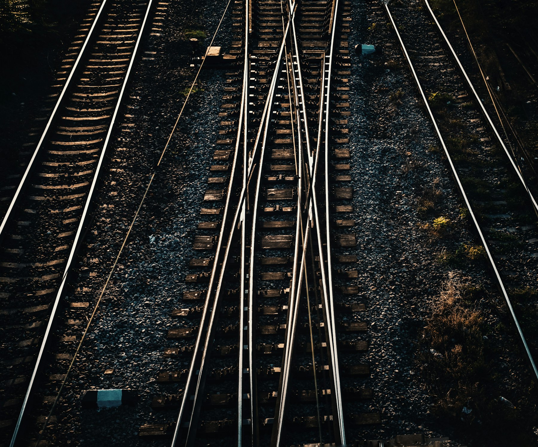 Printed program listings with one emerald-inked execution path